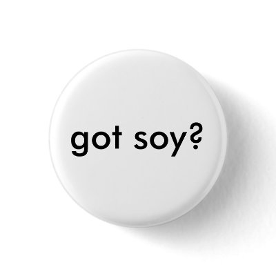 got soy? buttons by vinebranchesdesign