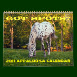 GOT SPOTS? 2011 APPALOOSA CALENDAR calendars