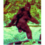 GOT SQUATCH? ACRYLIC CUT OUTS