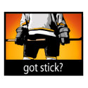 Got Stick? hockey poster posters