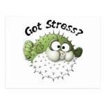 Got Stress? Puffer Fish Post Cards