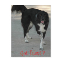 Got Talent.? Postcard
