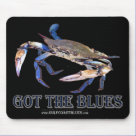Got The Blues