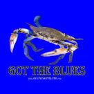 Got The Blues