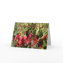 Got the Hots for you, Valentine! Card