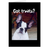 'Got treats?' cards by sgaines 'Got treats?' cards