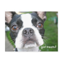 Got treats postcards