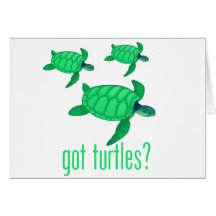 Got Turtles? Cards