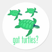Got Turtles? Sticker