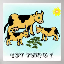 Got Twins ? Poster
