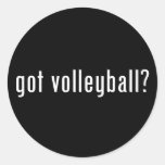 got volleyball? round sticker