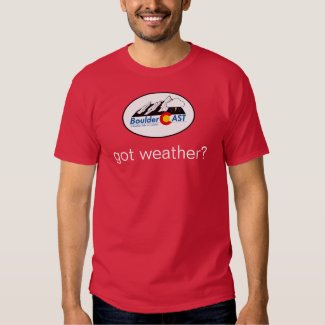 got weather? T-Shirt (Small Logo)