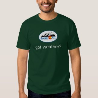 got weather? T-Shirt (Small Wintry Logo)