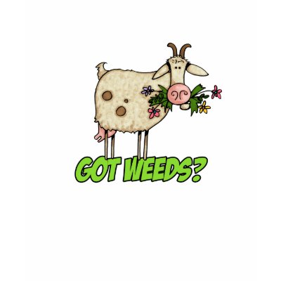 got weeds goat t-shirt by cfkaatje
