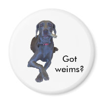 Got Weims? Weimaraner magnet