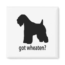 Got Wheaten magnets
