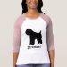 Ladies 3/4 Sleeve Raglan (Fitted)