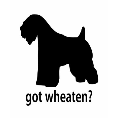 Got Wheaten Tee Shirt by dogwiregifts