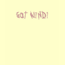 GOT WIND? t-shirts