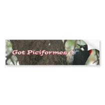 Got Woodpeckers? bumper stickers