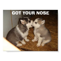 GOT YOUR NOSE posters