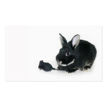 Goth bunny business cards