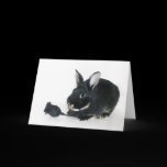 Goth Bunny Valentine Cards