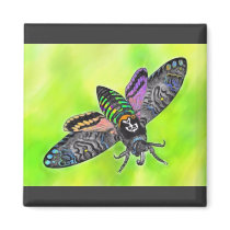 Goth Moth magnet magnets