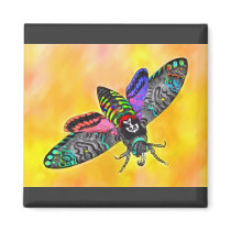 Goth Moth magnet magnets