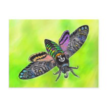 Goth Moth postcard postcards