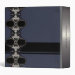 Back/Spine