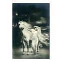 Gothic woman with white horse posters