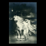 Gothic woman with white horse print