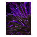 Gothic Yucca posters by littlewingdesign Gothic Yucca posters