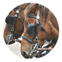 Gotland Ponies stickers by PaintingPony Gotland Ponies stickers