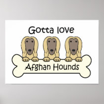 Gotta Love Afghan Hounds Posters