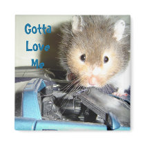 Gotta Love Me Magnet