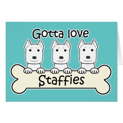 Cartoon Staffies