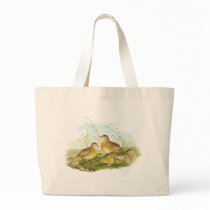 Gould - Andalusian Hemipode - Turnis sylvatica bags by LisasLair Gould - Andalusian Hemipode - Turnis sylvatica bags