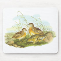 Gould - Andalusian Hemipode - Turnis sylvatica mousepads by LisasLair Gould - Andalusian Hemipode - Turnis sylvatica mousepads