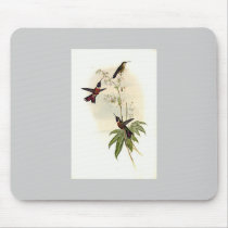 Gould - Bahama Wood-Star Mouse Pad mousepads by LisasLair Gould - Bahama Wood-Star Mouse Pad mousepads