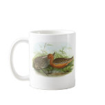 Gould - Bar-Tailed Godwit - Limosa lapponica Promo Mug