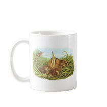 Gould - Bittern - Botaurus stellaris B/store Promo Coffee Mug