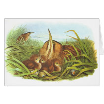Gould - Bittern - Botaurus stellaris Greeting Card