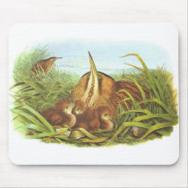 Gould - Bittern - Botaurus stellaris Mouse Mat