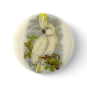 Gould - Blue-Eyed Cockatoo Bookstore Promo buttons by LisasLair Gould - Blue-Eyed Cockatoo Bookstore Promo buttons