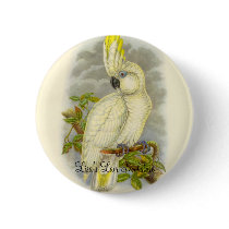Gould - Blue-Eyed Cockatoo Bookstore Promo buttons by LisasLair Gould - Blue-Eyed Cockatoo Bookstore Promo buttons