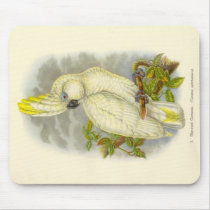 Gould - Blue-Eyed Cockatoo Mouse Pad mousepads by LisasLair Gould - Blue-Eyed Cockatoo Mouse Pad mousepads