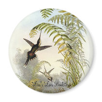 Gould - Bourcier's Hermit Hummingbird Promo Magnet