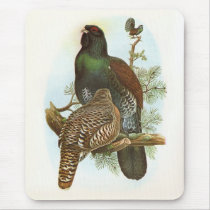 Gould - Capercaillie - Tetrao urogallus mousepads